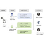 Opioid-sparing anesthesia in cardiac surgery