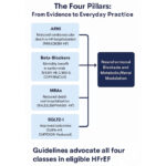 Guideline-directed medical therapy