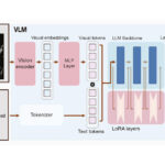 TAVR, multimodal LLM
