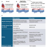 Cardiac myosin inhibitors