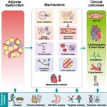 Obesity and Cardiovascular Diseases: CVIA State-of-the-Art Review